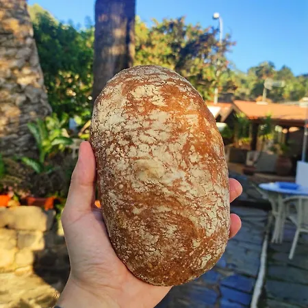 酒店 Rural Del Monte