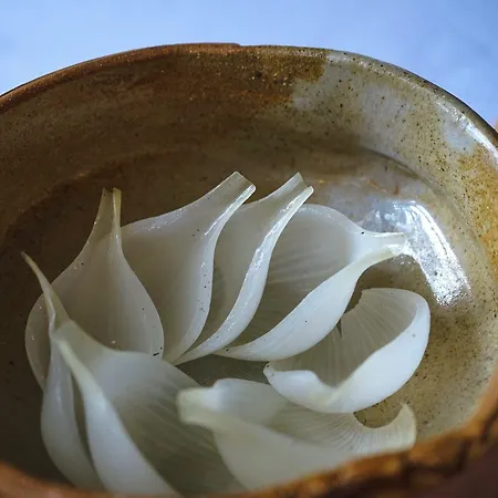 酒店 Rural Del Monte 圣布里吉达