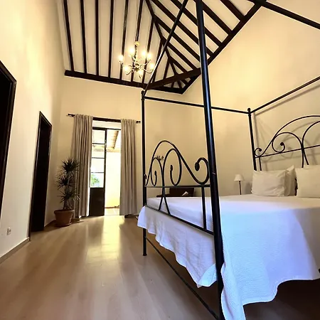 Rural Del Monte * 圣布里吉达